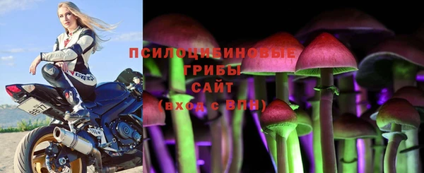 таблы Алексеевка