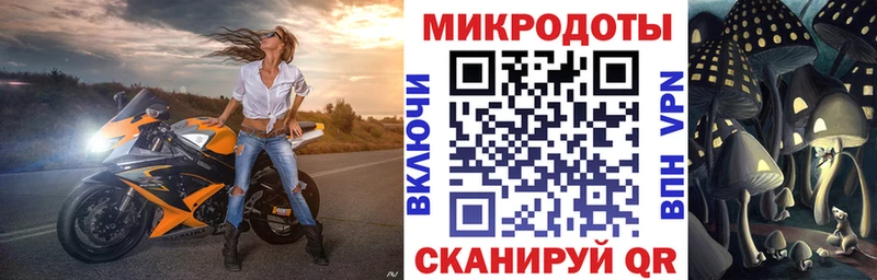 купить  цена  Комсомольск  Псилоцибиновые грибы Psilocybe 